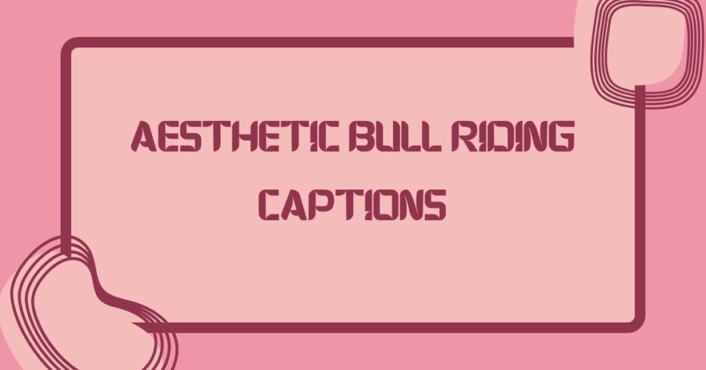 Aesthetic Bull Riding Captions