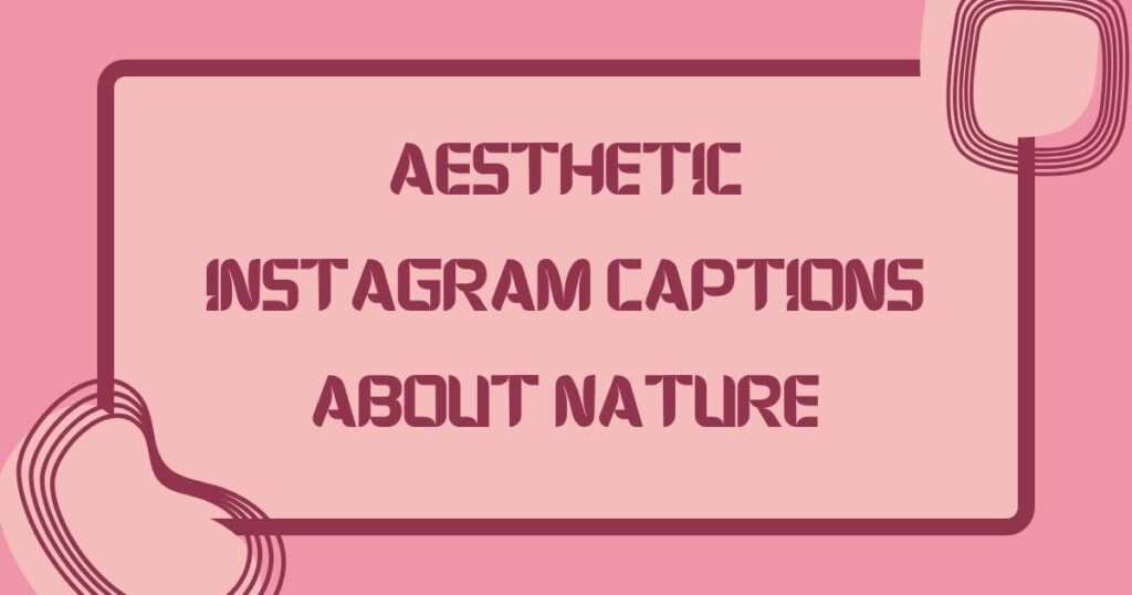 Aesthetic Instagram Captions
