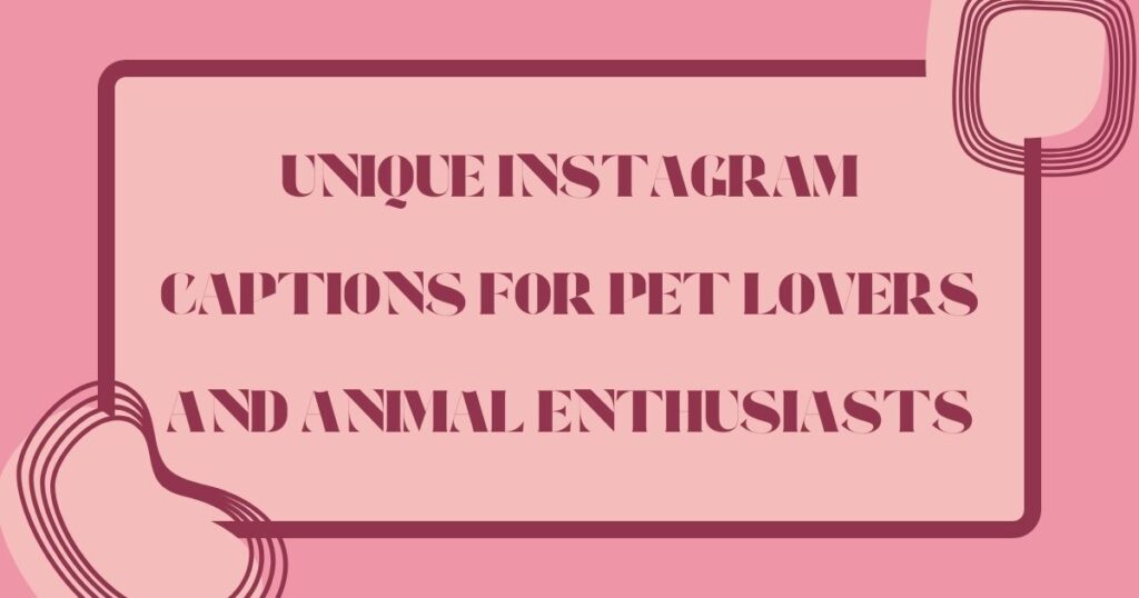 Unique Instagram Captions to Make Your Posts Shine